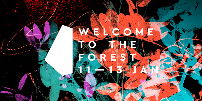 Welcome to the Forest